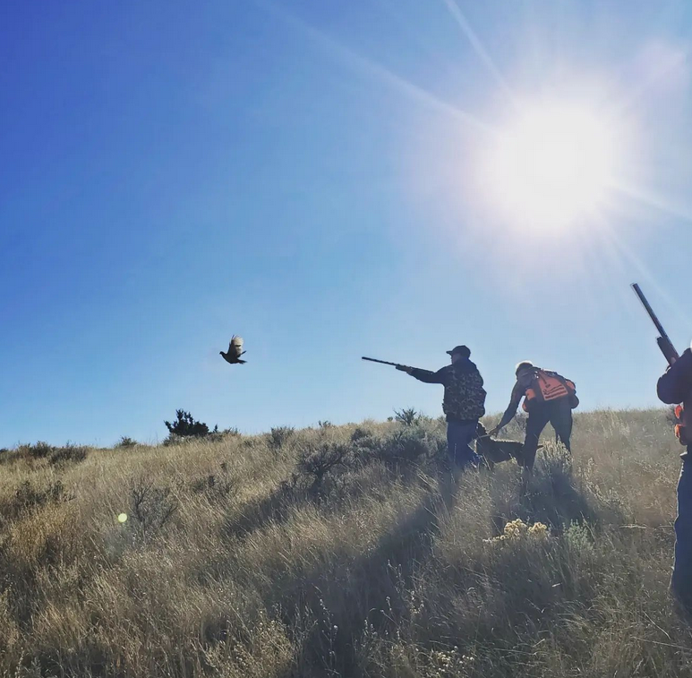 Screenshot at Blue Creek Sport Shooting Complex and Preserve (@bluecreeksportshooting) Instagram profile